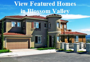 Homes For Sale In Blossom Valley, San Jose CA