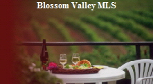 blossom valley mls