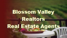 Blossom Valley Real Estate Agents and Realtors